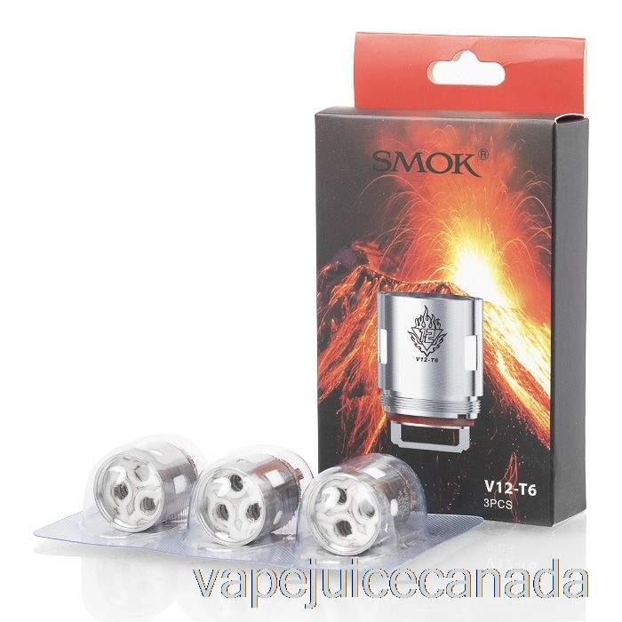 Vape Juice SMOK TFV12 Replacement Coils & RBA 0.17ohm V12-T6 Sextuple Coil (Pack of 3)